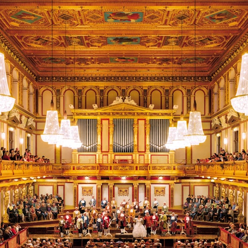 Musikverein Viena: Orquesta Mozart + Cena antes o después del concierto