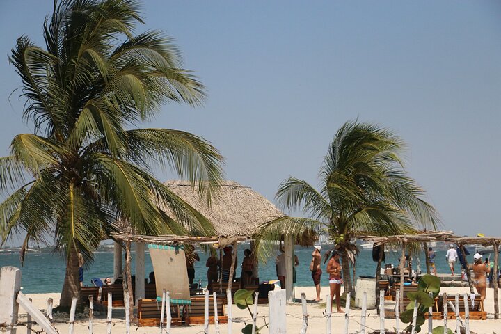 Excursión de un día a la playa Fénix