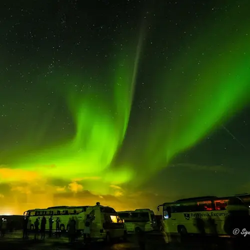 Northern Lights: 3-Hr Bus Tour + Transfer