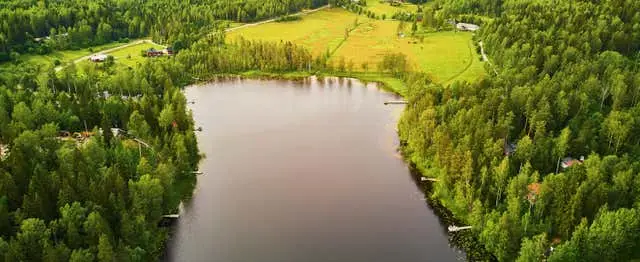 Sipoonkorpi National Park Excursion + Finnish Sauna