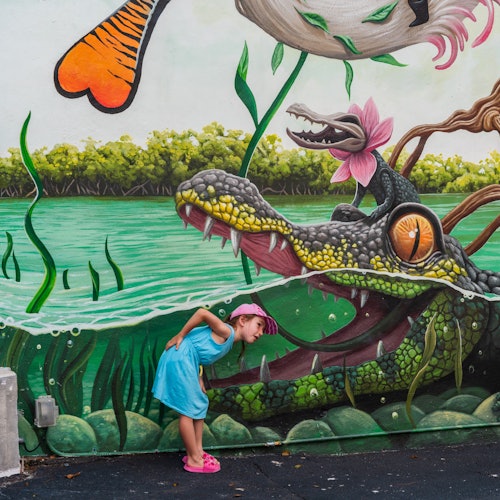 Muros de Wynwood: Entrada General + Sesión de Pintura en Spray