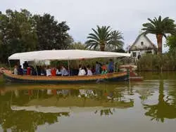 Albufera Sightseeing Bus + Cruise