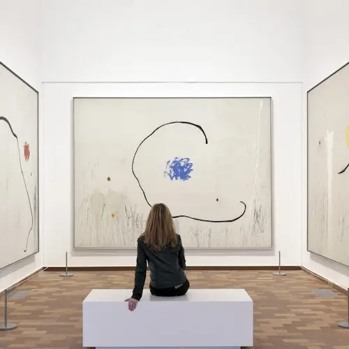 Fundació Joan Miró: Skip The Line Ticket