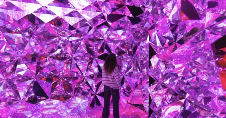 Oporto: Entrada al Museo Wondersense