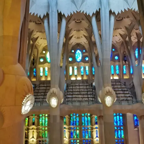 Go With A Local: Tour sin esperas de la Sagrada Familia en alemán