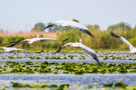 Escapada al Delta del Danubio