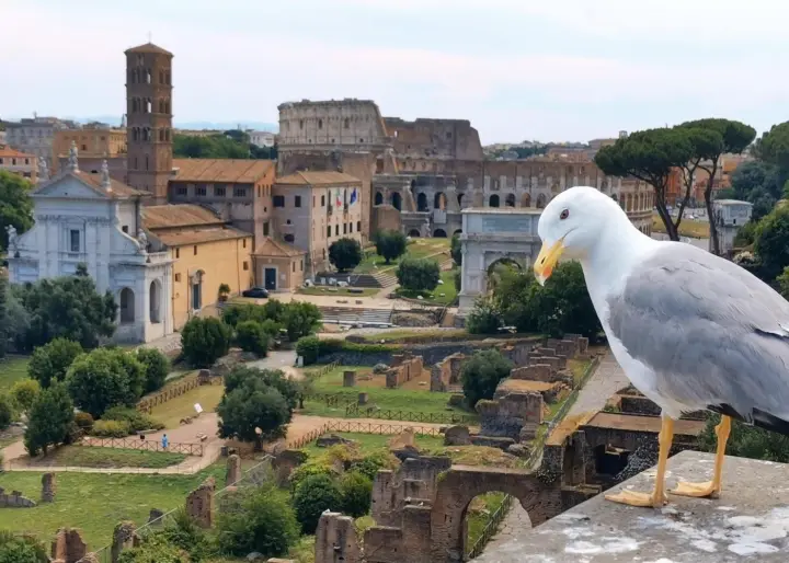 Roma: tour privado por el Foro Romano y el monte Palatino