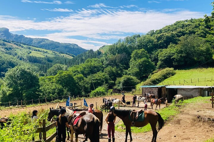 Explora montañas pintorescas y monta a caballo