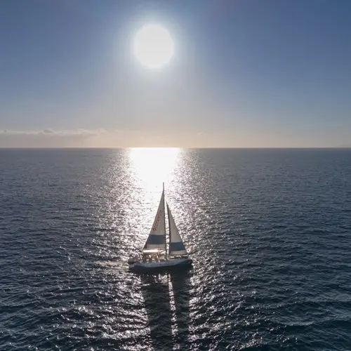 Tenerife: 3-Hour Whale & Dolphin Watching Eco-Catamaran Tour