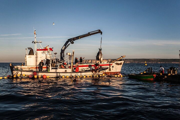 Tour del Atún Rojo del Almadraba de Barbate