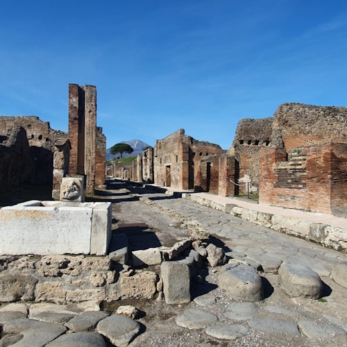 Pompeii: Skip The Line Entry Ticket + Guided Tour from Naples