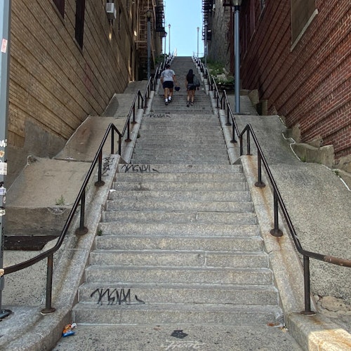 Nueva York: Visita guiada a pie por el Bronx en español