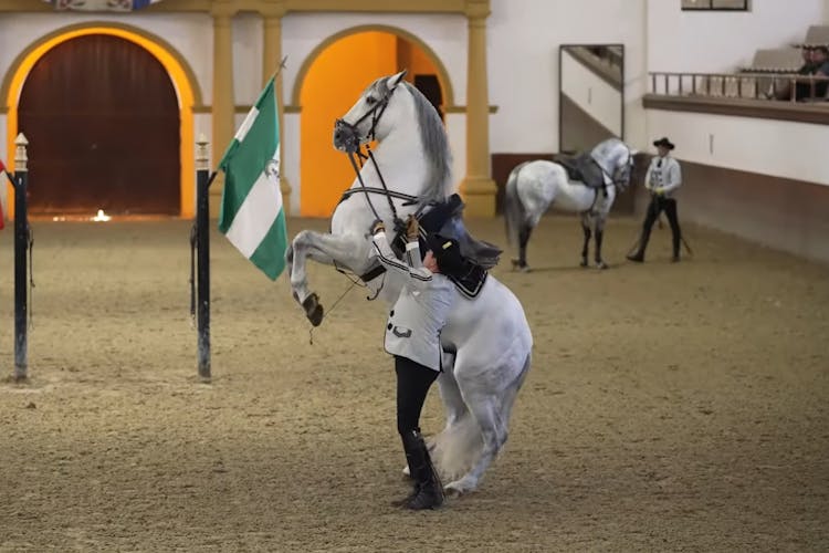 Excursión de un día a Jerez y Cádiz con espectáculo ecuestre desde Sevilla