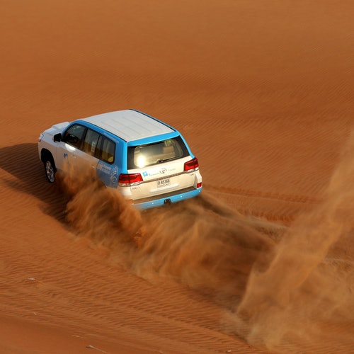 Premium Desert Safari: Camel Ride, Falconry and BBQ Dinner at Al Khayma Camp
