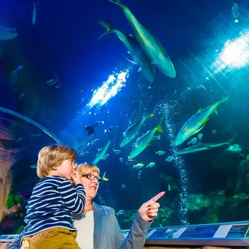 SEA LIFE Múnich: Entrada