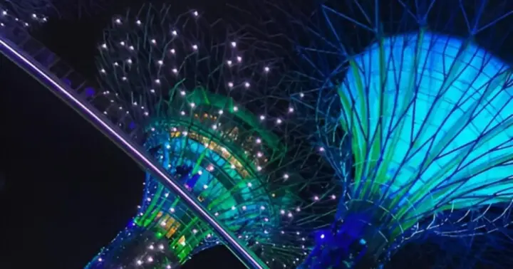 Gardens by the Bay-OCBC Skyway, Flower Dome and Cloud Forest