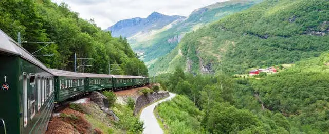 Tour por los fiordos noruegos: Tren de Flåm y paseo en barco por Nærøy
