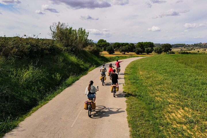 Excursión guiada de día completo por la Costa Brava y bicicletas eléctricas desde Barcelona
