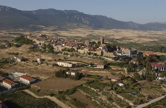 Excursión de día completo a la región vinícola de Vitoria y Rioja con visita a una bodega desde Bilbao