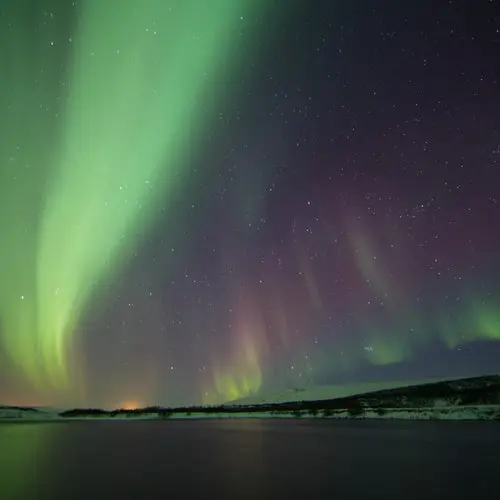 Northern Lights: 3-Hr Bus Tour + Transfer