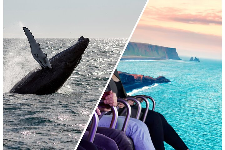 Whale Watching And Fly Over Iceland Guided Tour