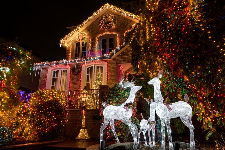 Tour Contrastes de Nueva York y Luces de Dyker Heights