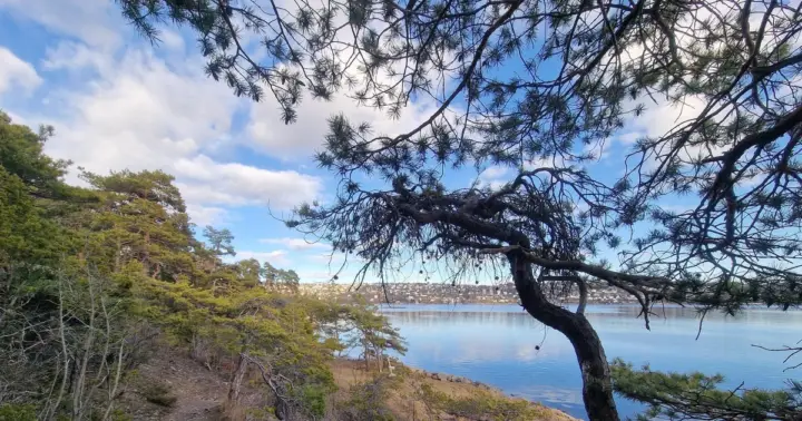 Oslo: paseo guiado por la isla de Malmøya con imágenes de dron