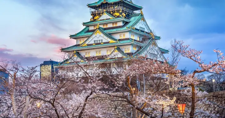 Castillo de Osaka: tour histórico guiado por su interior y jardines