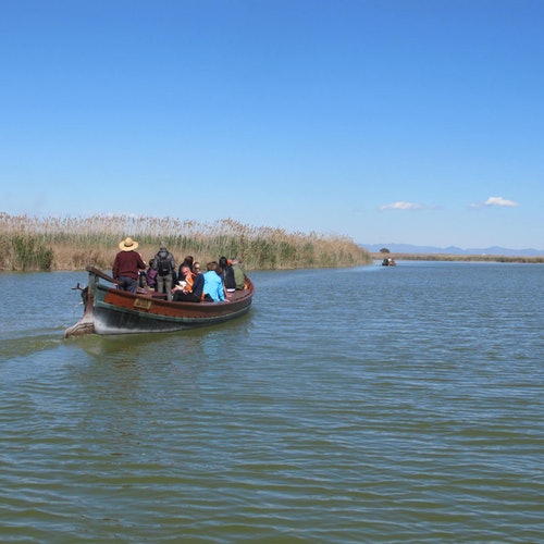Desde Valencia: Bus + Paseo en barco por la Albufera