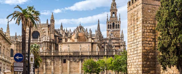 Tour por la catedral y la iglesia del Salvador