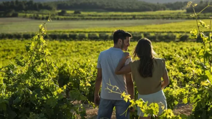 Valencia: tour por viñedos, vino local, cava y aperitivos