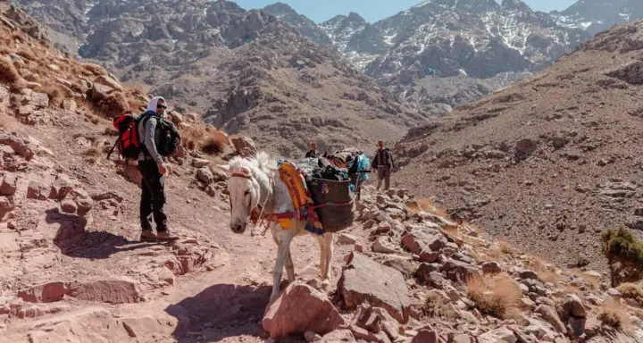 Marrakech: ruta de senderismo de 3 días por el Atlas, de Imlil a Ourika