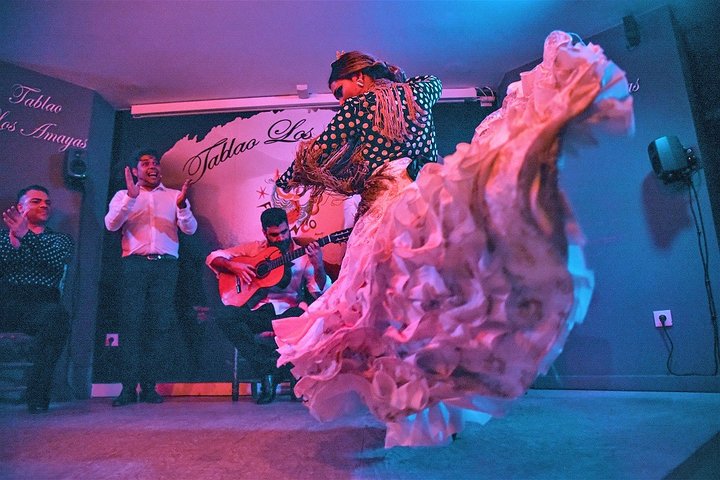 Tour de flamenco, tapas y vino: lo mejor de Málaga en una noche