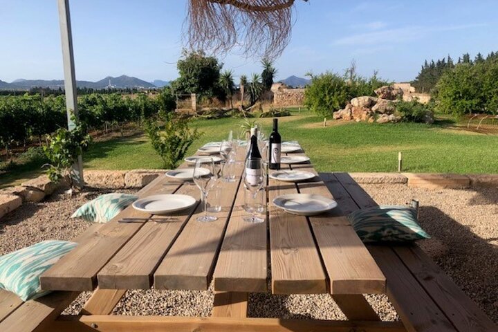 Visita guiada a bodega Butxet