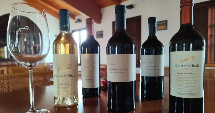 Arcos de la Frontera: Cata de Vinos "Taberner Experience" Huerta de Albalá