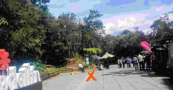 Arvi Fog Forest Walking Tour