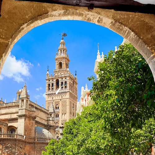 Catedral de Sevilla y Giralda: Visita guiada