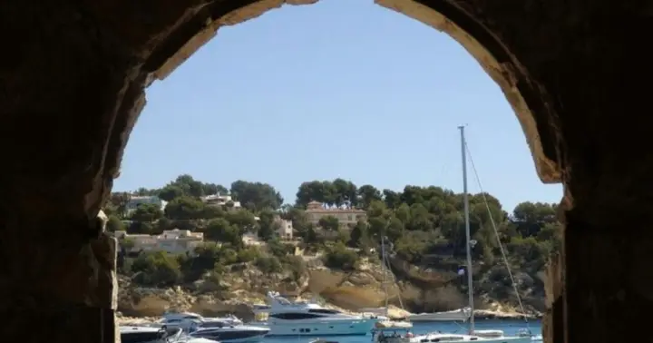 The Ultimate Water Sightseeing Tour in Palma: Speed, Paddles, and Adrenaline