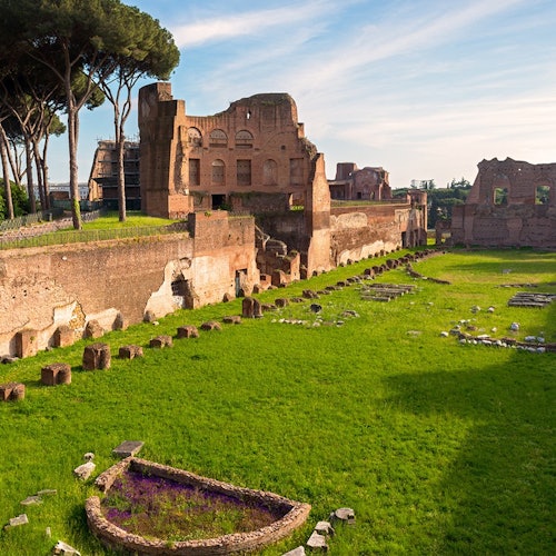 Colosseum, Roman Forum & Palatine Hill + Digital Audio Guide App