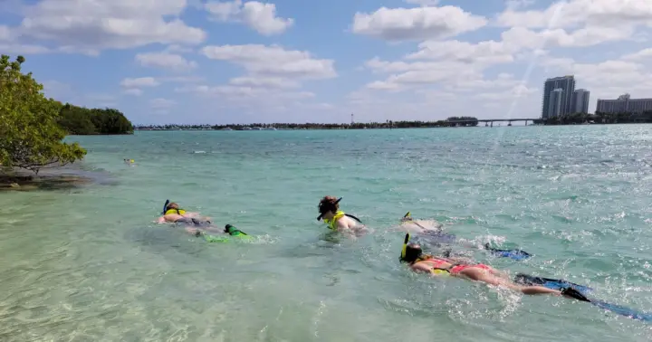 Miami: Beginner-Friendly Island Snorkeling by SUP or Kayak