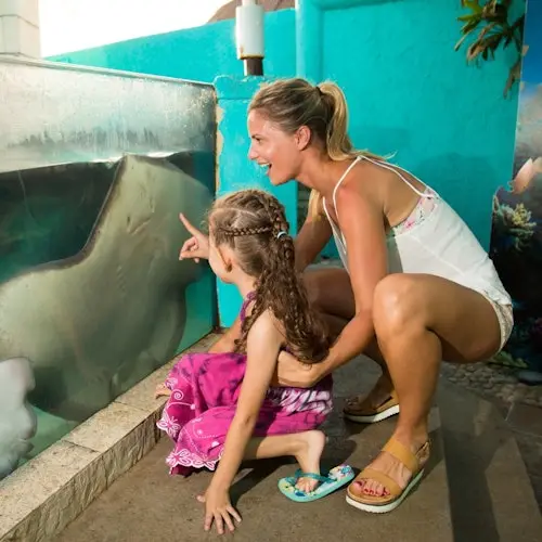 Acuario Interactivo Cancún: Entrada