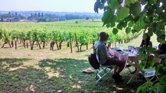 Excursión de un día a Saint-Émilion con visita al pueblo, ruta del vino y almuerzo.