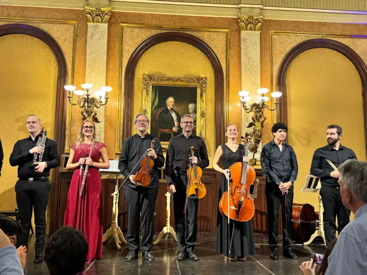 Vienna: Private Classical Music Tour, Museum Entry & Concert