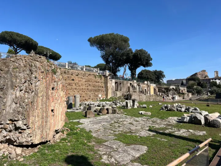 Roma: tour privado del Coliseo y la Domus Tiberiana