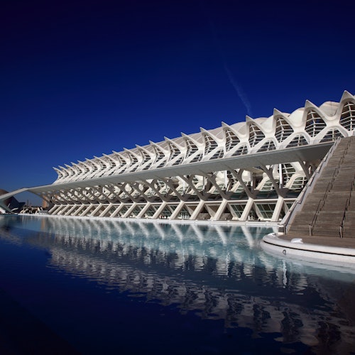 Museo de las Ciencias de Valencia: Entrada sin colas