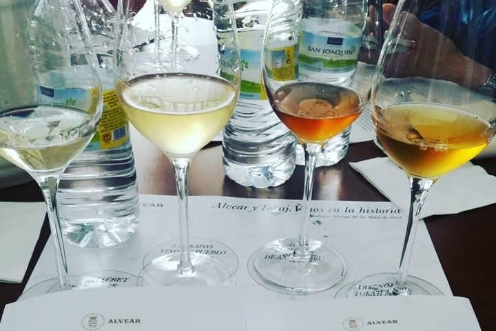 Cata de vinos por la noche Córdoba