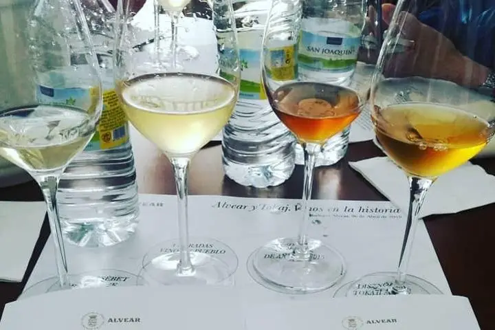 Cata de vinos por la noche Córdoba