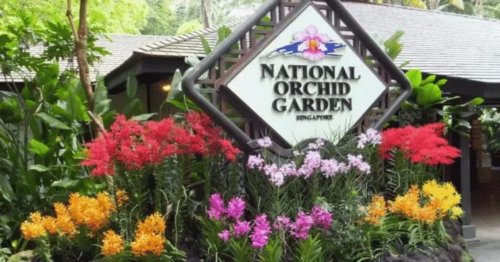 Singapore: National Orchid Garden Entry Ticket