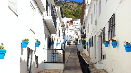 Paseo en grupo por Mijas