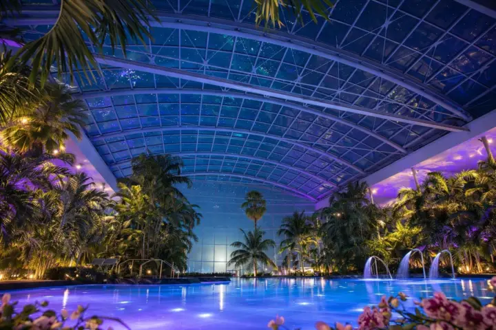Bucharest: Therme Night Show Ticket with Transfer